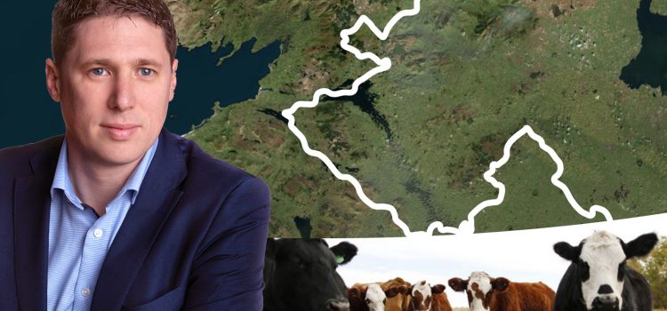 Carthy calls for BEAM scheme reopening to cater for farmers trading cross-border Carthy calls for BEAM scheme reopening to cater for farmers trading cross-border