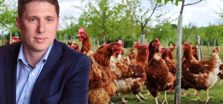 Carthy calls for Bird Flu compensation for poultry farmers