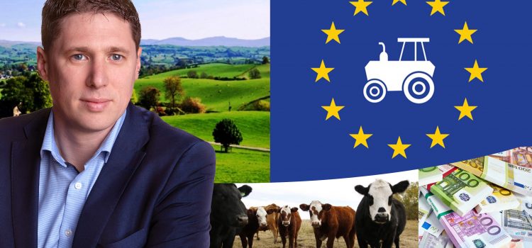 Matt Carthy MEP slams 2021 CAP cut proposal Matt Carthy MEP slams 2021 CAP cut proposal